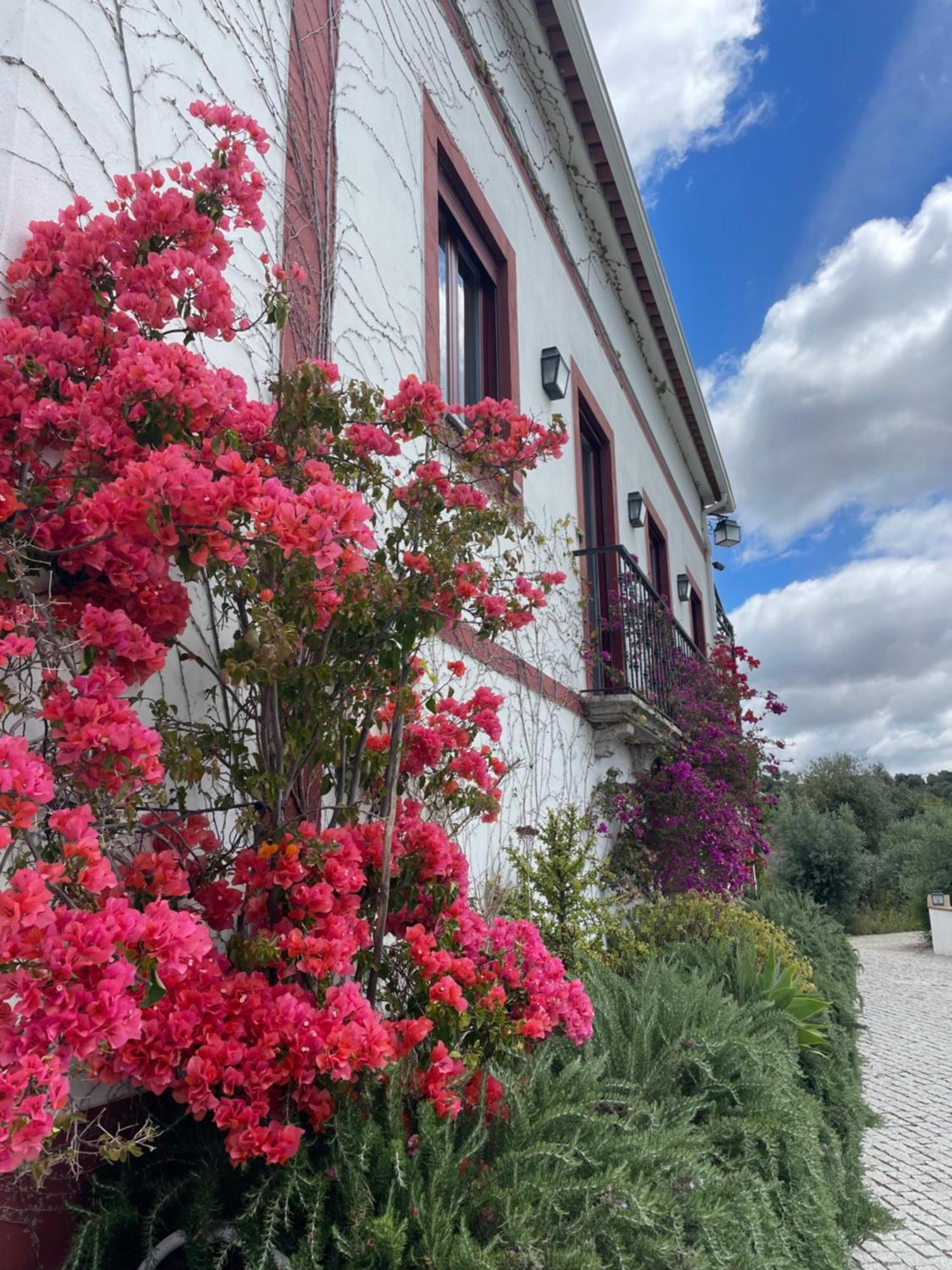 Quinta Da Asneira Apartment Montemor-o-Novo Exterior photo