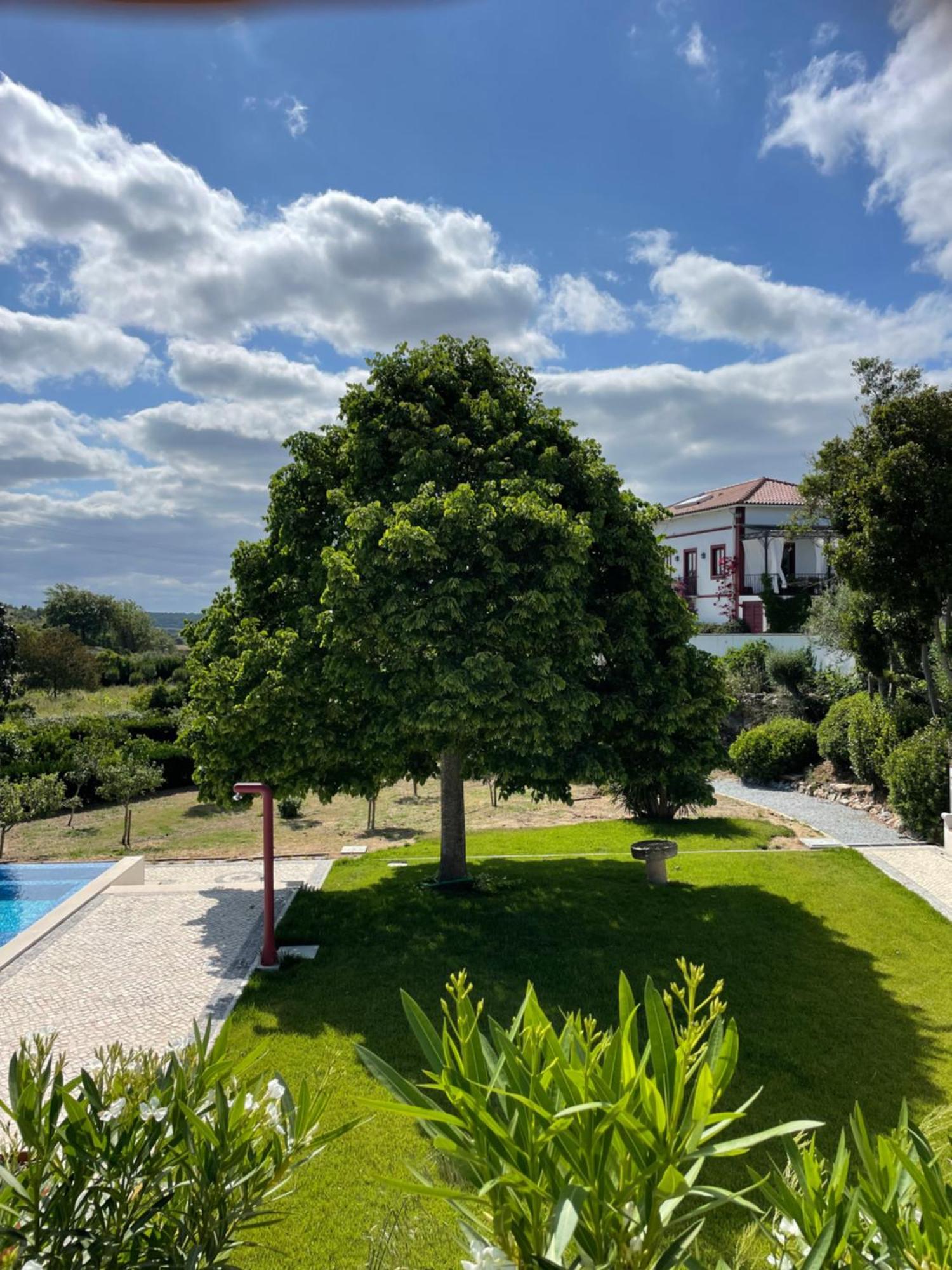Quinta Da Asneira Apartment Montemor-o-Novo Exterior photo